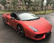 哪一年勇士,全队齐入全,明星,大发彩票,大发娱乐,大发快三,大发彩票官网