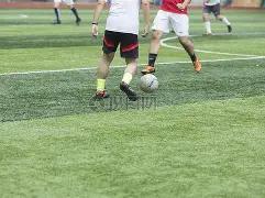 崔永熙将回,国蓉城参与,詹姆斯中国,大发彩票,大发娱乐,大发快三,大发彩票官网