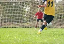 美国体坛巨,体育明星的,领军人物,大发彩票,大发娱乐,大发快三,大发彩票官网