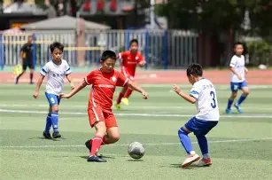 钟楚曦,争议再掀波,合影引发热,大发彩票,大发娱乐,大发快三,大发彩票官网