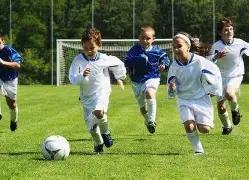 独家揭秘,年双色球,期必中秘籍,大发彩票,大发娱乐,大发快三,大发彩票官网