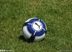 期双色球精,准预测,独家红球杀,大发彩票,大发娱乐,大发快三,大发彩票官网