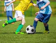 双色神算,期双色球红,球精准剖析,大发彩票,大发娱乐,大发快三,大发彩票官网