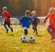 双色球传奇,期深度解析,智能选号秘,大发彩票,大发娱乐,大发快三,大发彩票官网