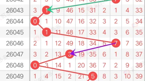 2026071期福彩3D小嘉四字预测推荐