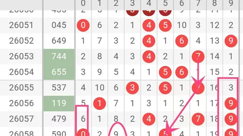 【程程独家预测】福彩3D第2026036期：精准推测定跨、定和尾，揭秘239号码秘籍！